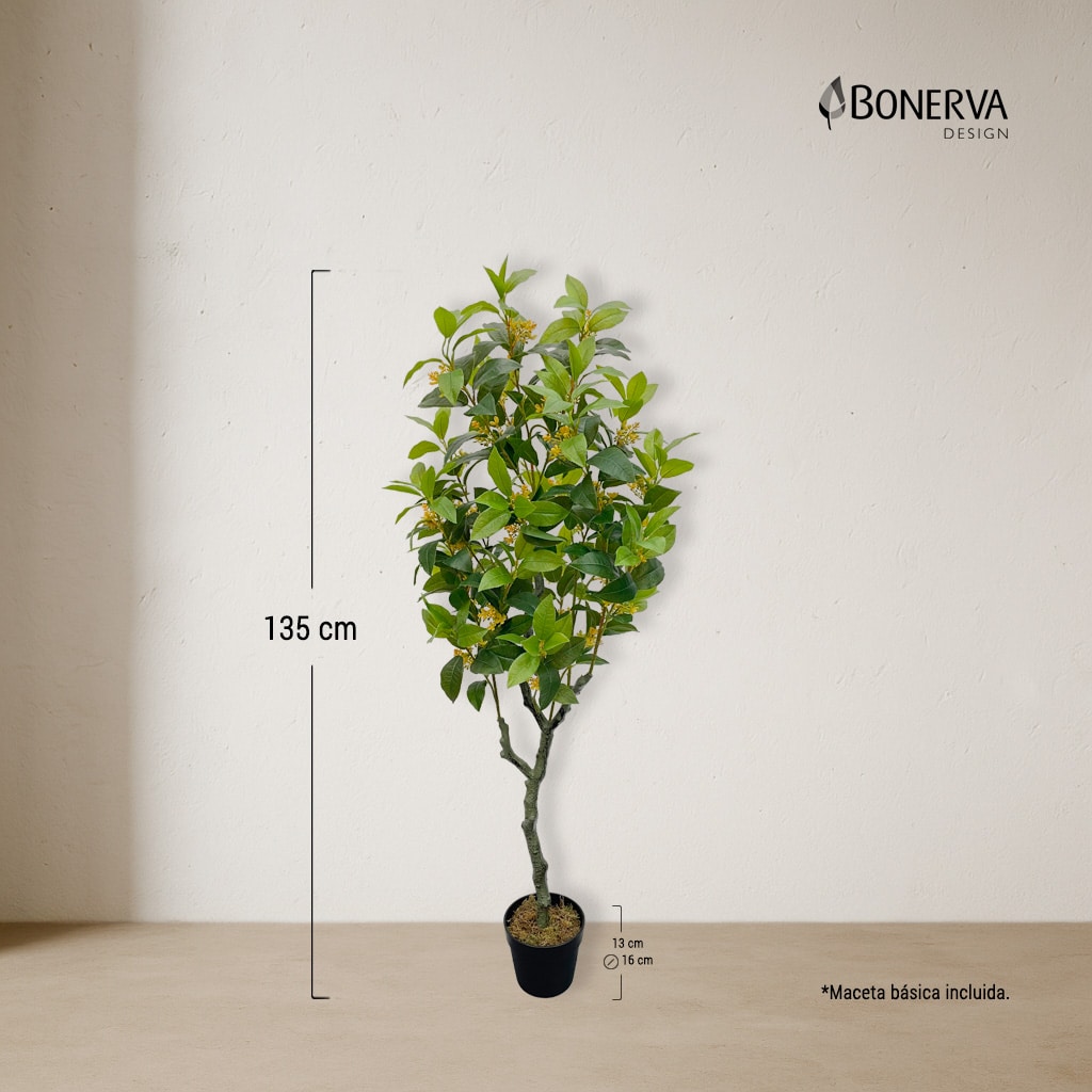 P_MEDIDAS_LIMON_DECO_135