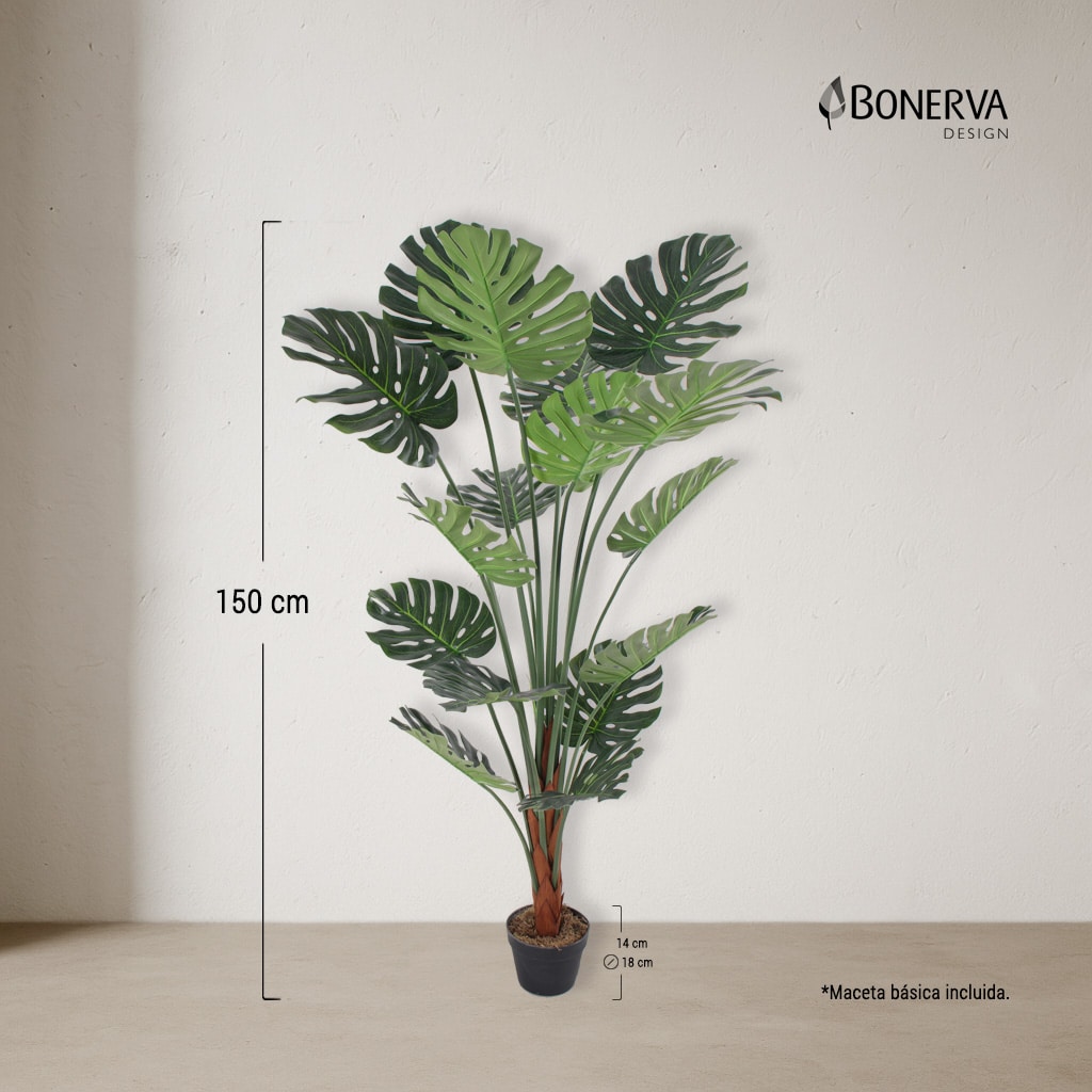 P_MEDIDAS_MONSTERA_DECO_150