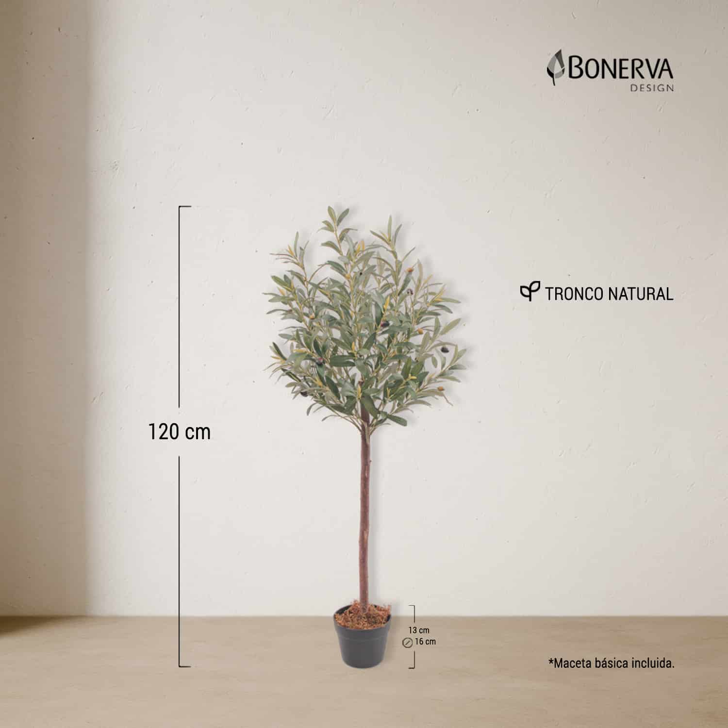 P_MEDIDAS_OLIVO_NATURE_120