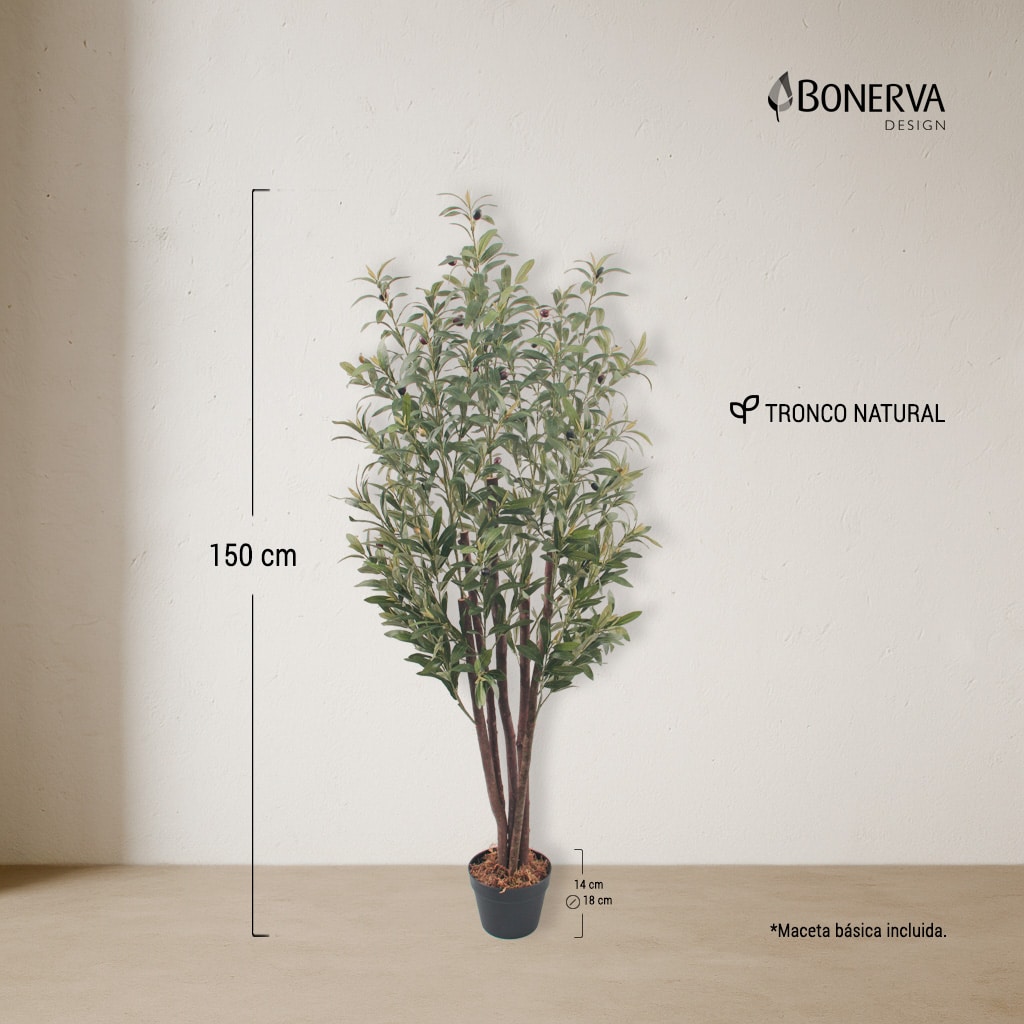 P_MEDIDAS_OLIVO_NATURE_150