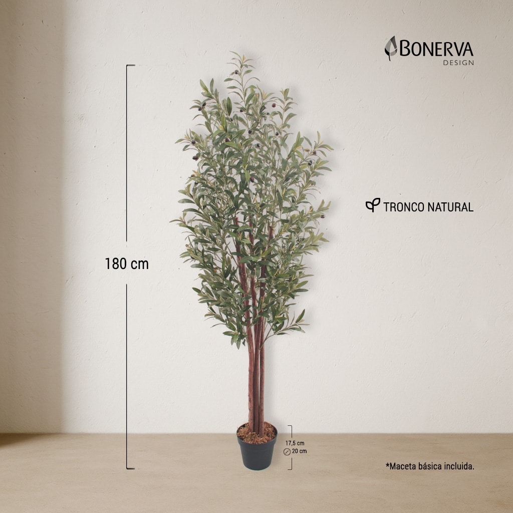 P_MEDIDAS_OLIVO_NATURE_180