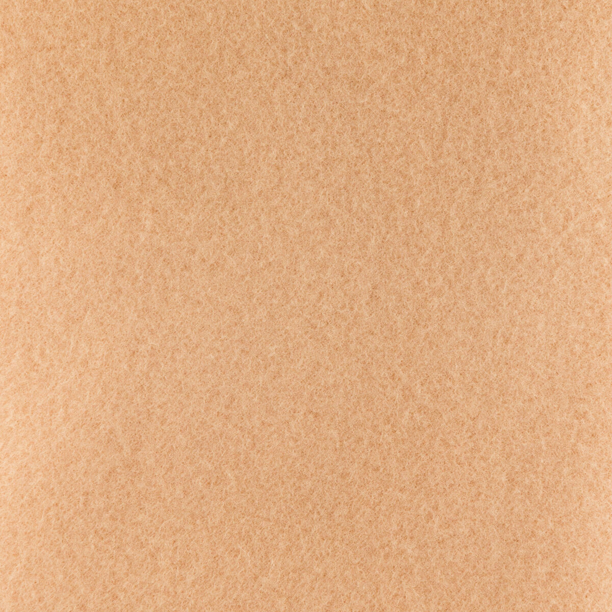 V0101230_2 V0101230_2